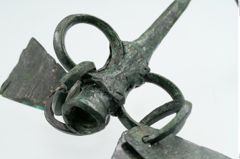 Foto von Bronzeachsnagel (NHMW-PRAE-025272)